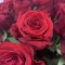 Букет из 31 бордовой розы